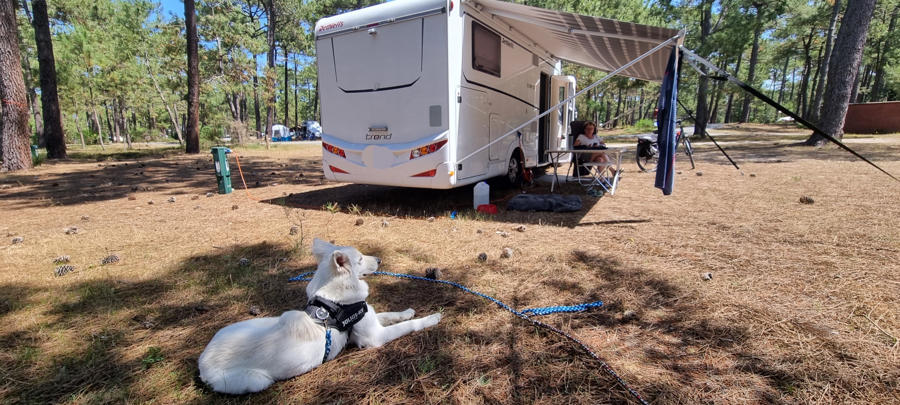 Camping Municipal du Gurp ** — Cámping in Grayan-et-l'Hôpital