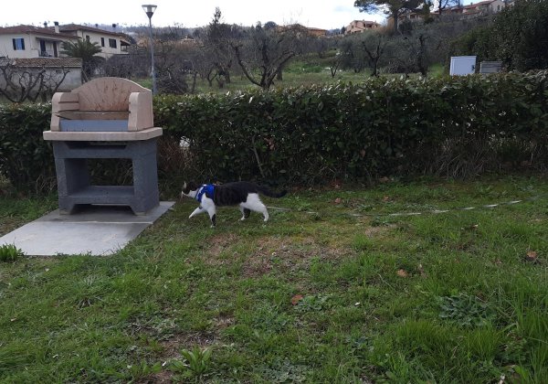 Area comunale Casciana Terme — Photo 2