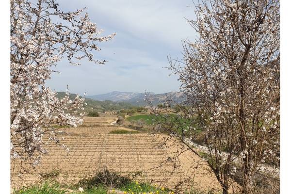 Parking Horta de Sant Joan — Area Autocaravanas in Horta de Sant Joan
