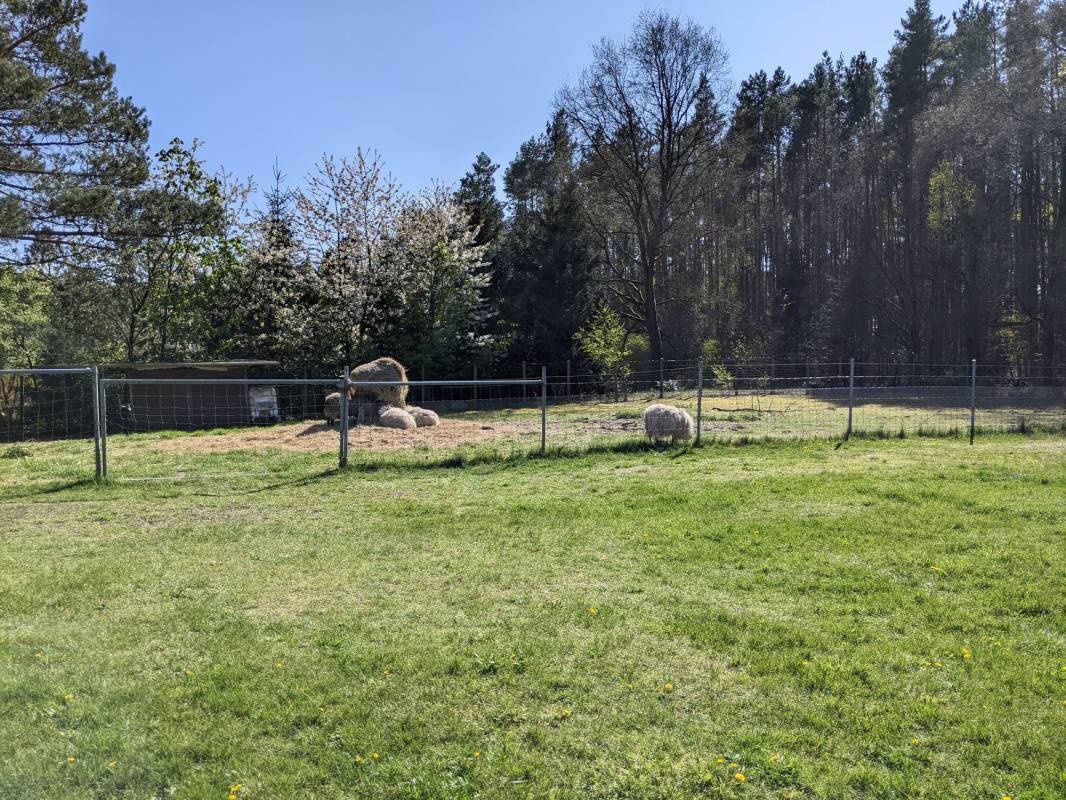 Jägerhof Ostsee — Campervan Site in Dassow
