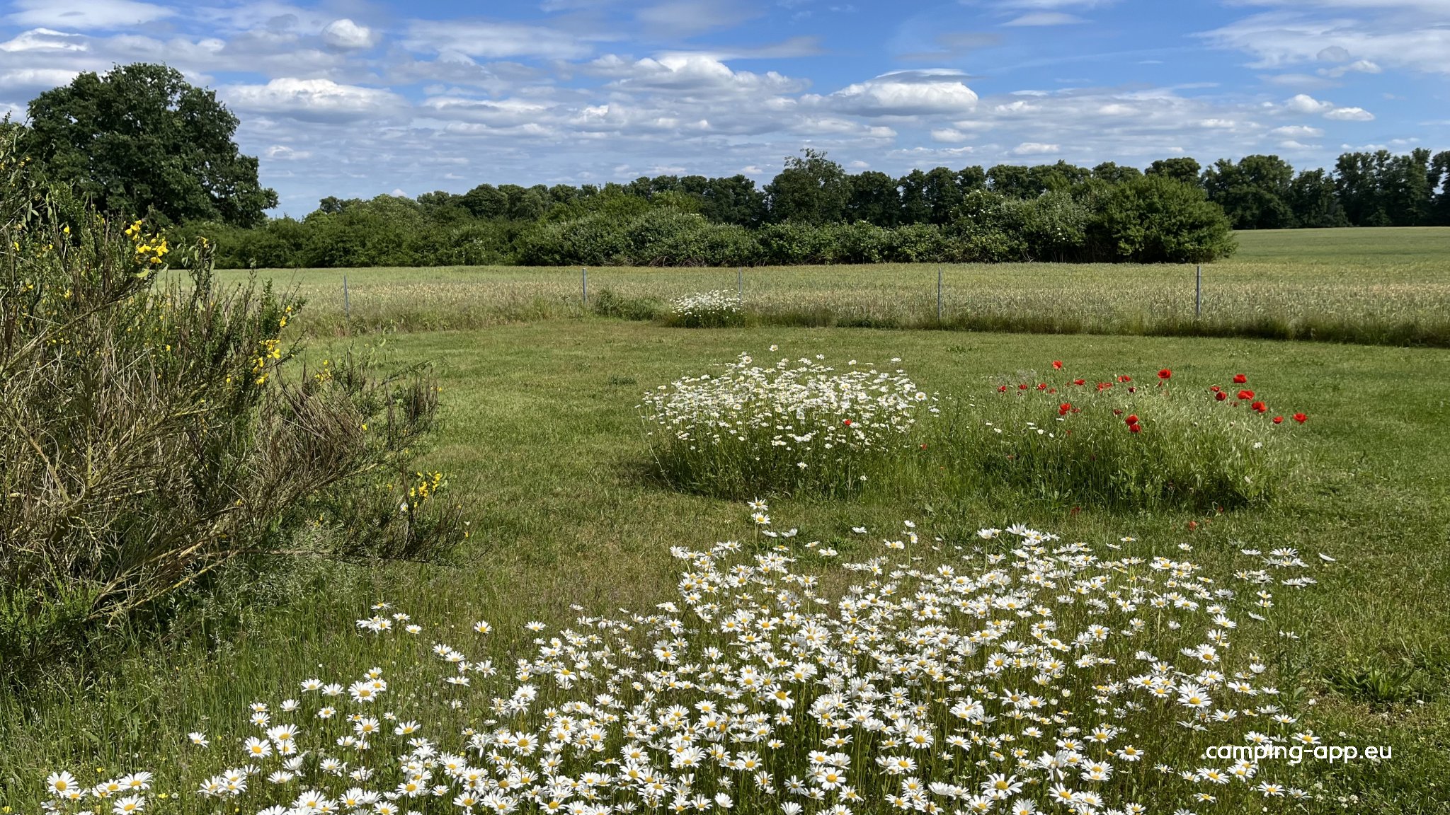Land-Blick — Foto 2