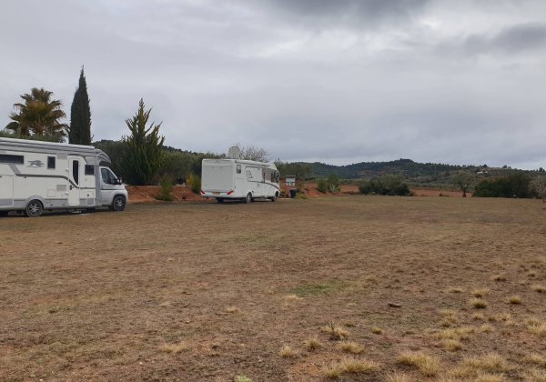 El Nogal - Ayora — Photo 2