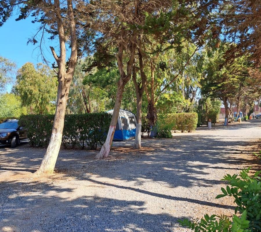 Camping Mimosas, Mohammedia — Campingplats in Nijensleek