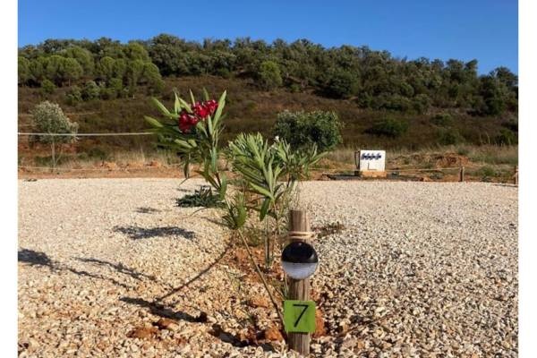 VALE DOS GUENOS — Campervan Site in Portimão