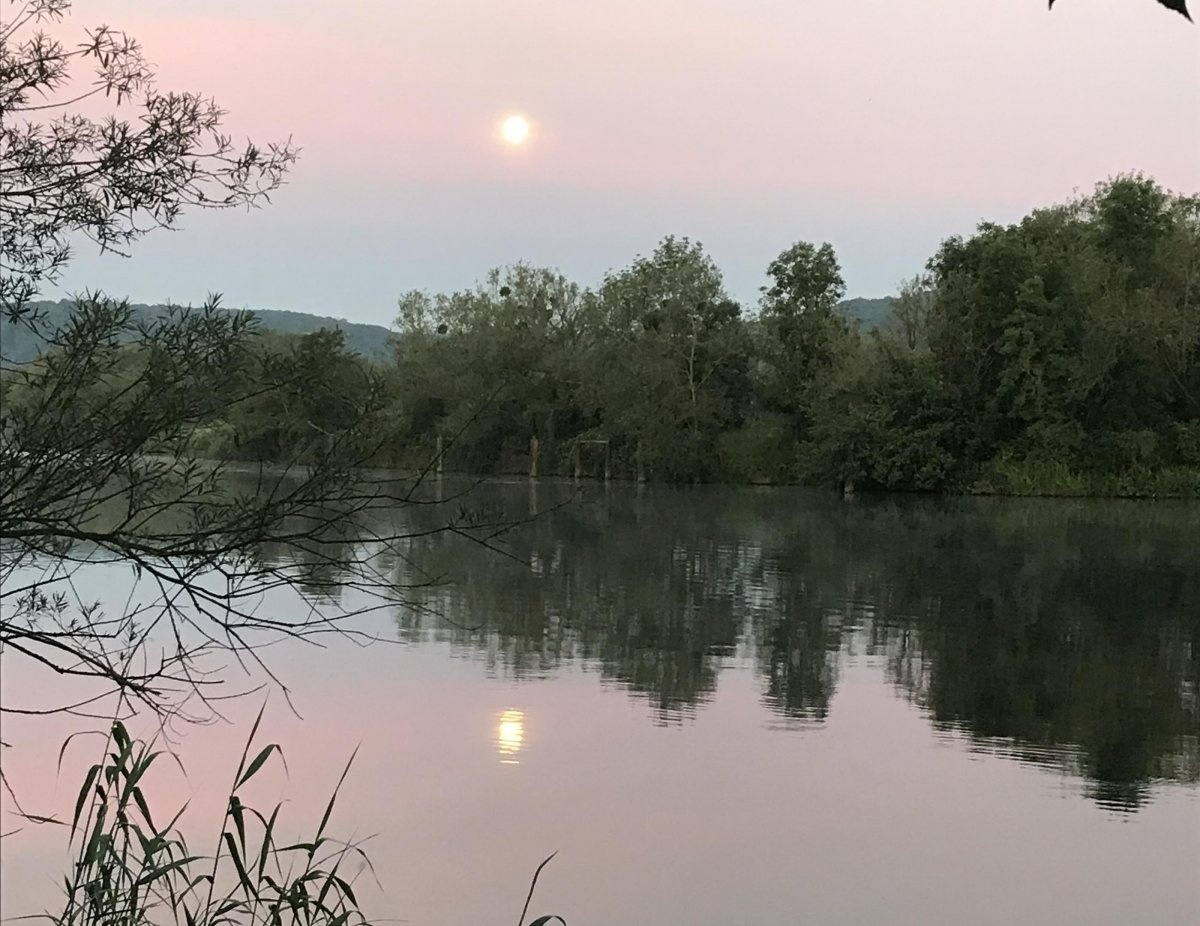 Stellplatz Millery — Campervan Site in Millery