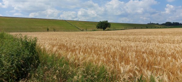 Natur- und AbenteuerCamping am Stausee Bautzen — Photo 4