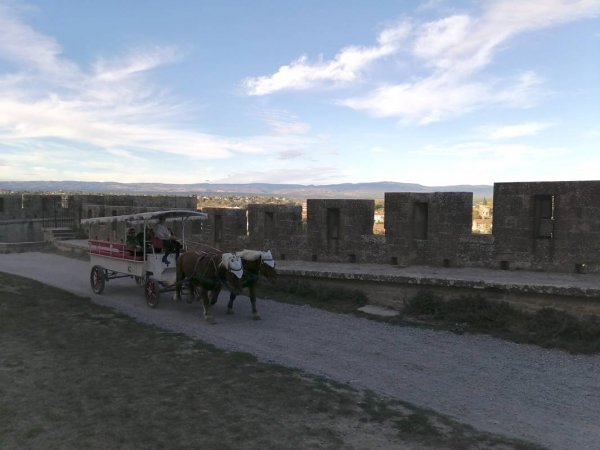 Stellplatz Carcassonne — Photo 6