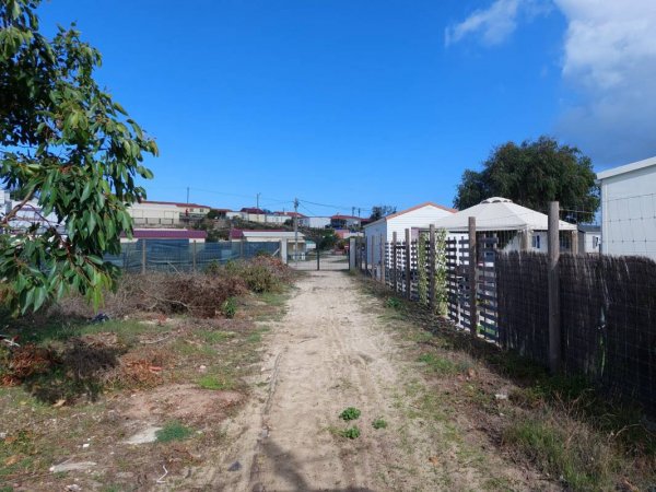 Parque de Campismo da Praia da Vieira — Foto 2