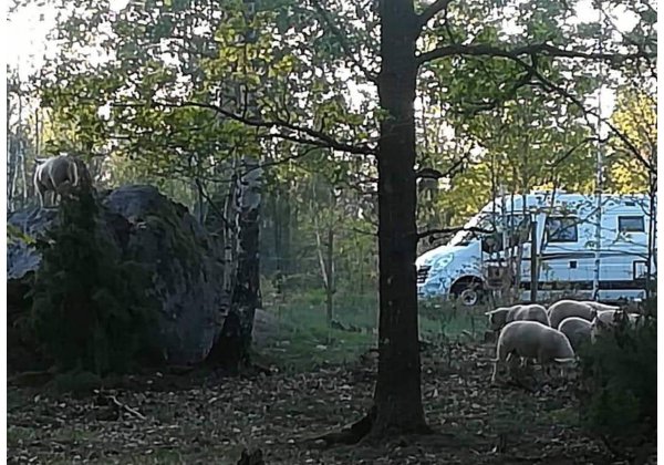 Rugstorps Lantgård — Foto 3