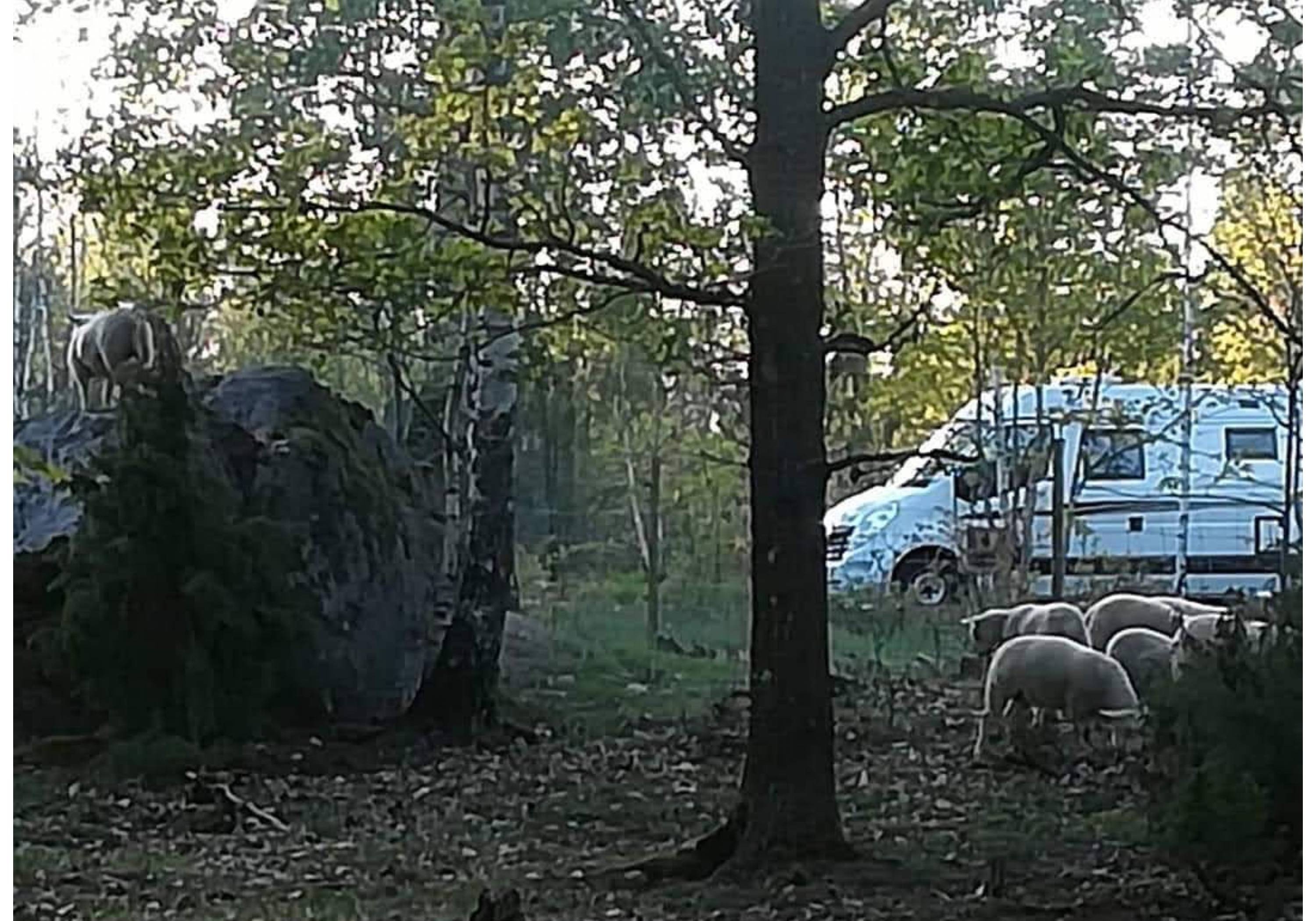 Rugstorps Lantgård — Bobilplass in Ålem