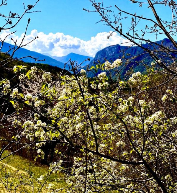 Stellpaltz Gargina Terme — Photo 2