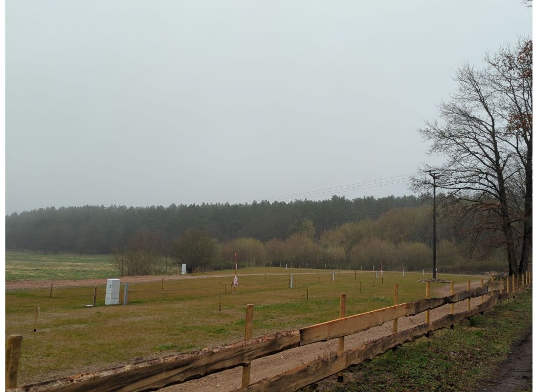 Campinghof am Grünen Baum — Kamp yeri in Neustrelitz
