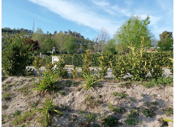 Parque de Campismo de Vouzela