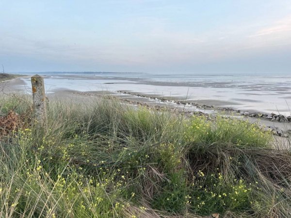 Camping des Dunes — Photo 5