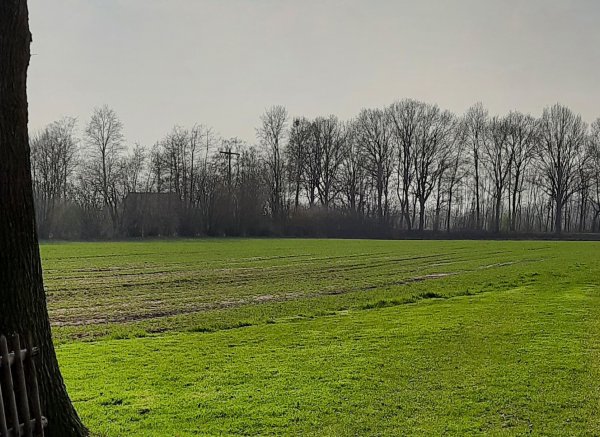 Zwischen Feldern und Ziegen — Photo 4