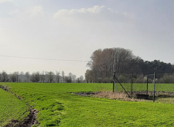 Zwischen Feldern und Ziegen — Photo 3