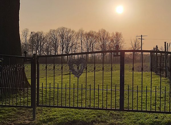Zwischen Feldern und Ziegen — Photo 6