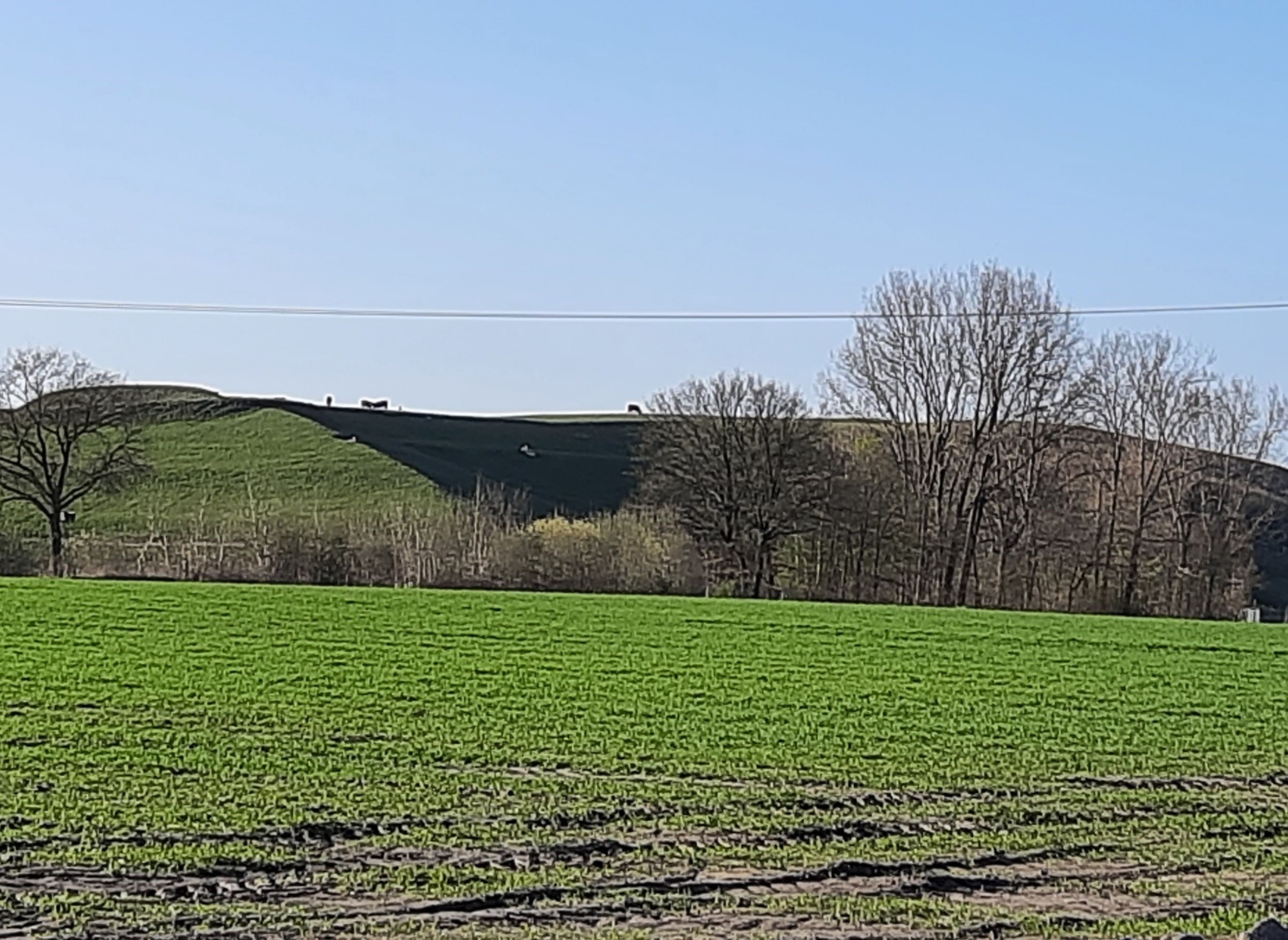 Zwischen Feldern und Ziegen — Farm in Ahaus