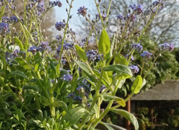 Diff-Stellplatz Privat — Photo 4