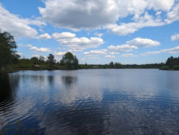 Nås Camping — Photo 6