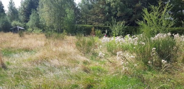 Stellplatz Planfoy — Photo 2