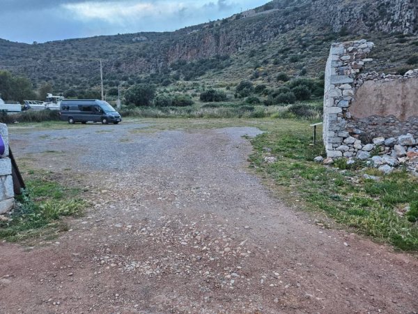Taverna O Faros — Photo 3