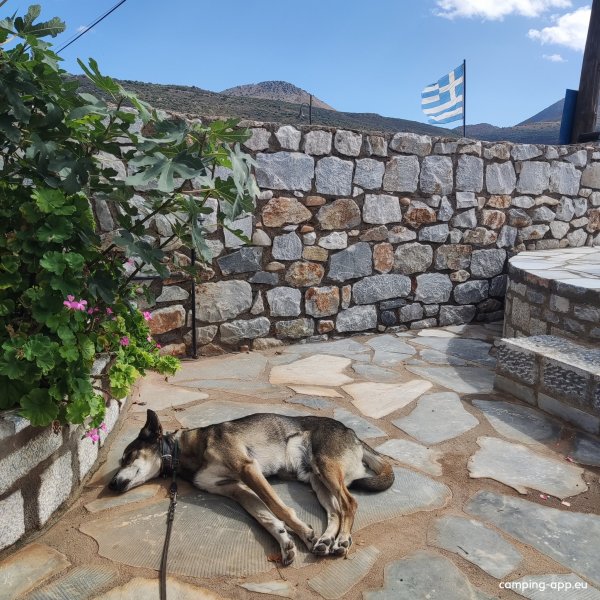 Taverna O Faros — Foto 5