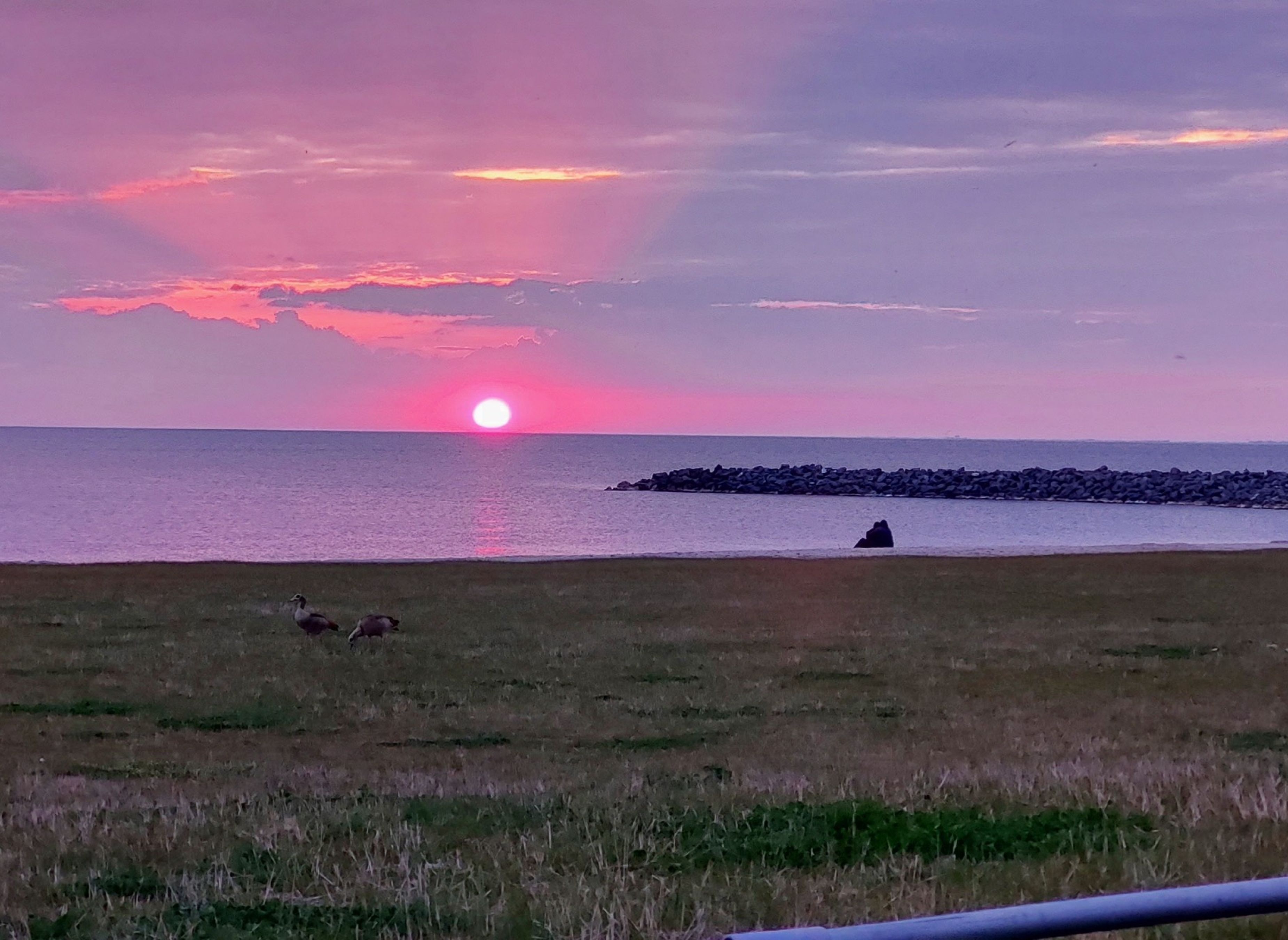 Camp & Surf Markermeer — Stellplatz in Lelystad