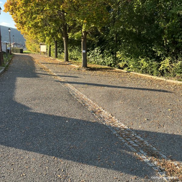 Stellplatz Westhalten — Photo 2