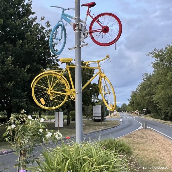 Stellplatz Chouzé-sur-Loire — Fotoğraf 3