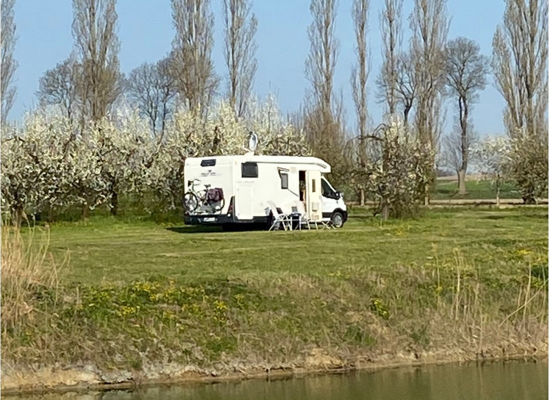 Camping Dabrowka Nowa — 露营地 in Dąbrówka Nowa