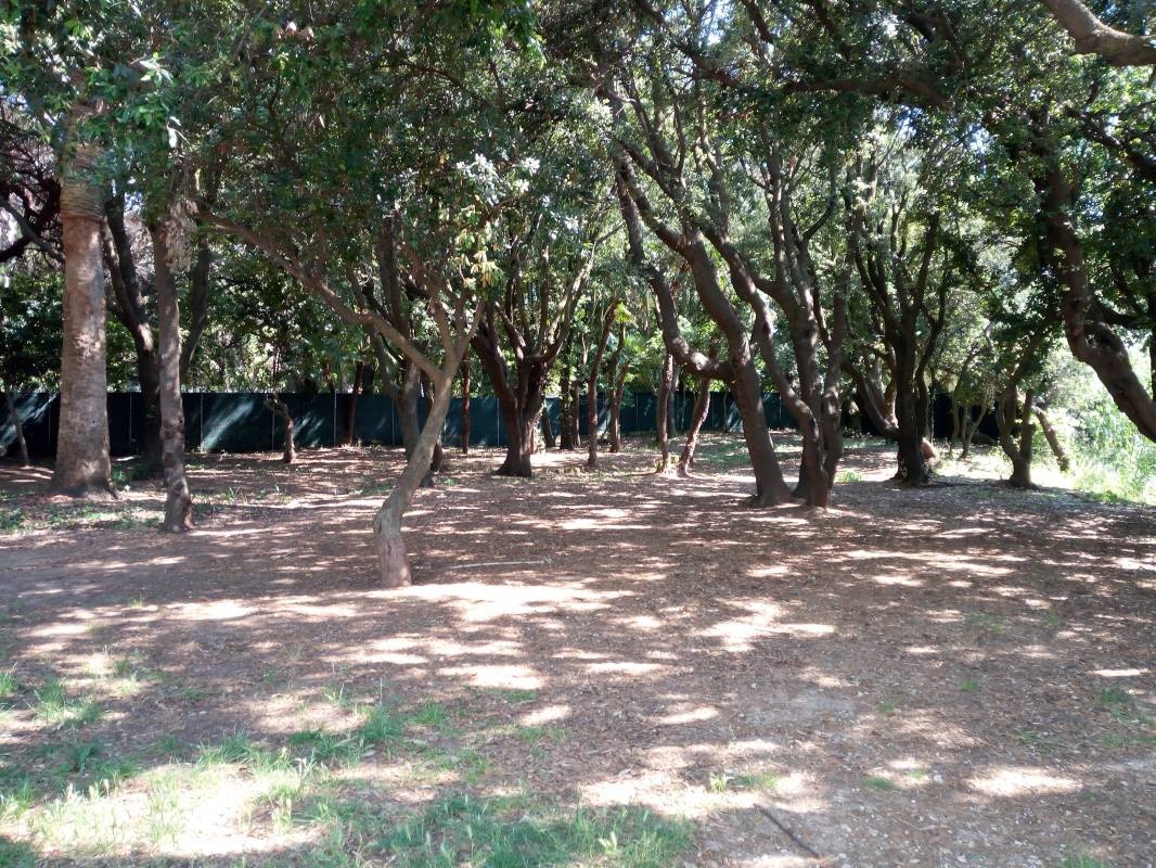 Stellplatz Rosignano Marittimo — Stellplatz in Castiglioncello