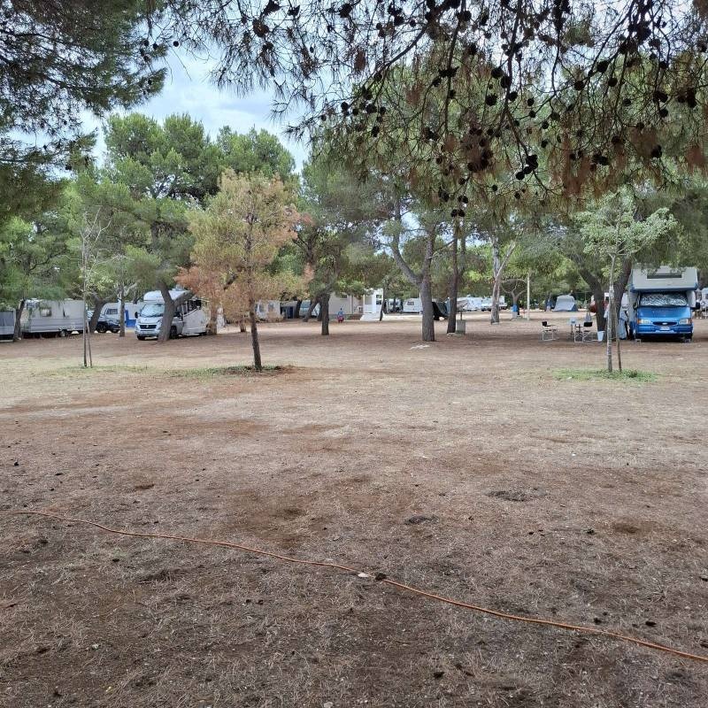 Camping Santo Stefano — Campingplass in Monopoli