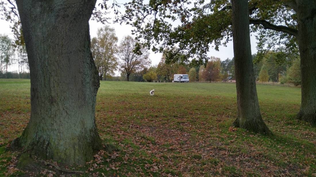 Campingverein Grosse Ploetze e.V. — Camping Site in Löwenberger Land