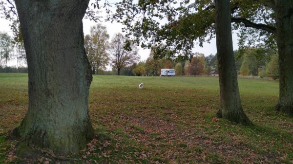 Campingverein Grosse Ploetze e.V.