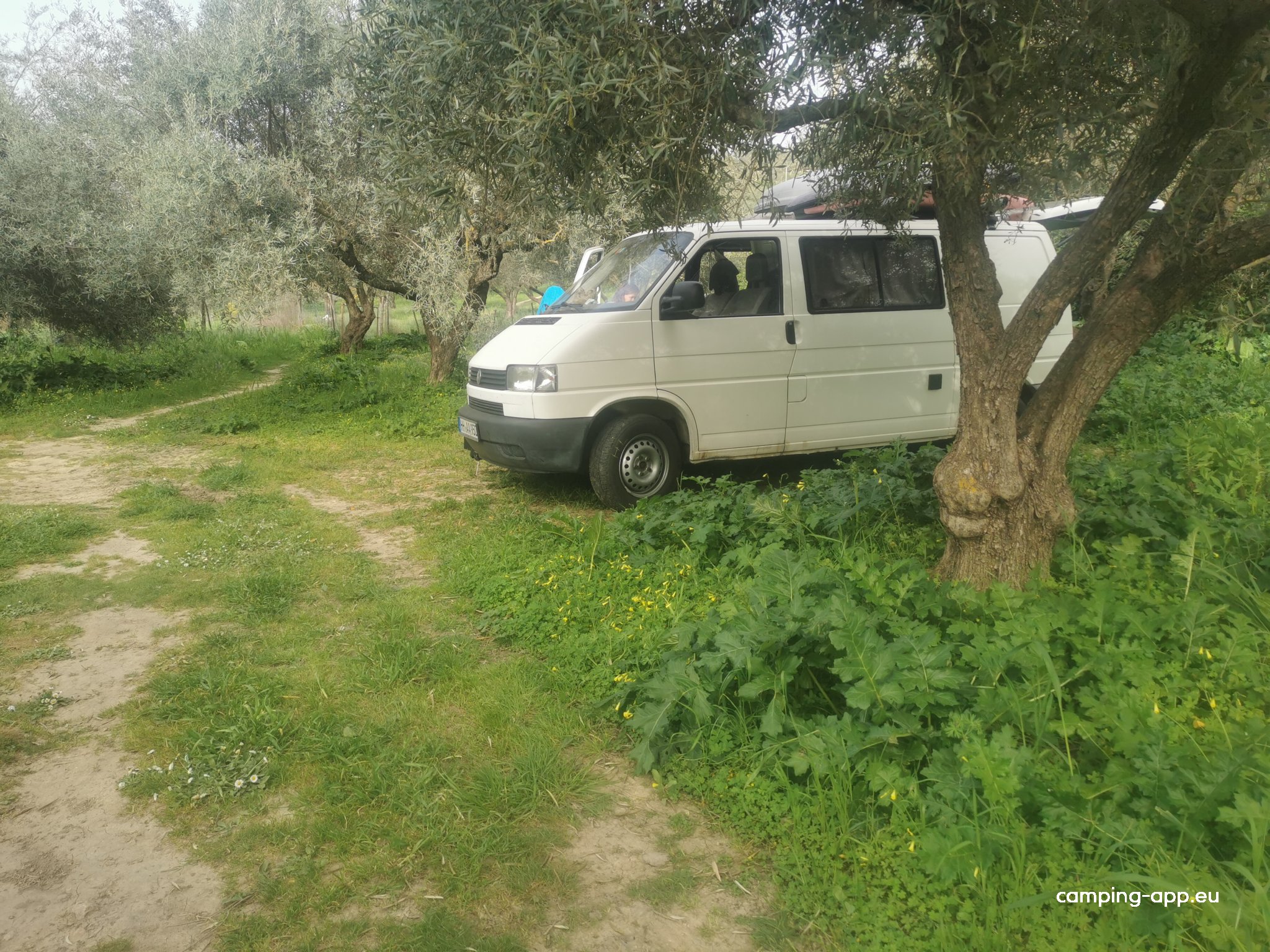 Olivenonkel Naturcamping im Olivenhain — Photo 2