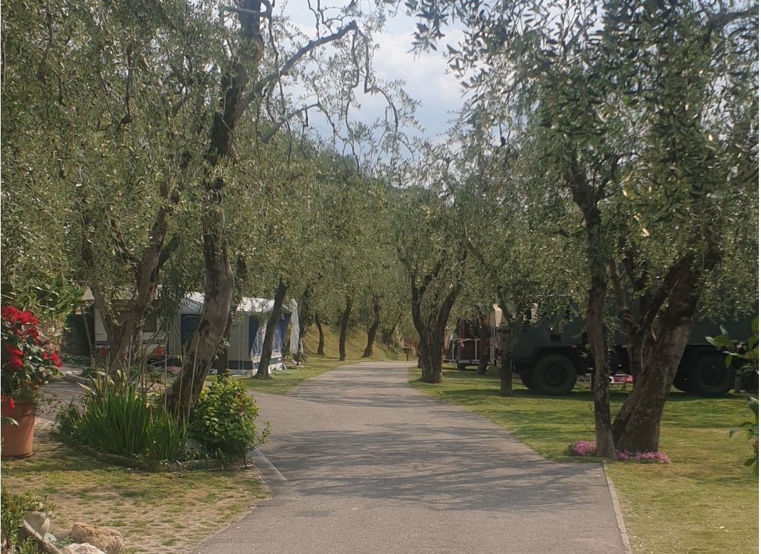 Camping Le Maior — Campingplatz in Brenzone sul Garda