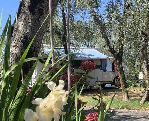 Camping Le Maior — Zdjęcie 3