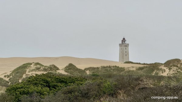 Lønstrup Camping-Möllebakken — Photo 5