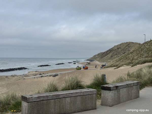 Lønstrup Camping-Möllebakken — Photo 6