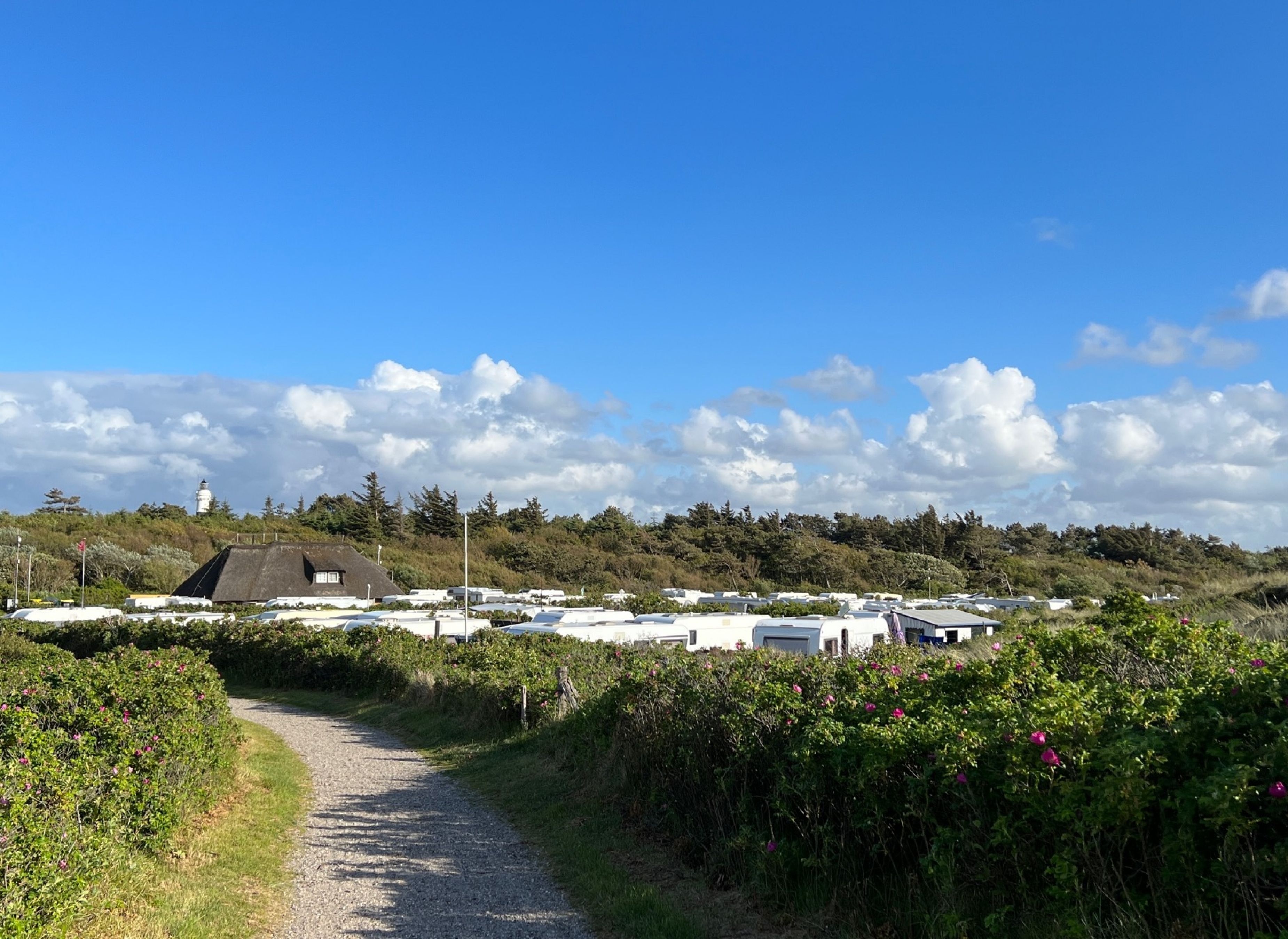 Camping Kampen — Cámping in Kampen (Sylt)