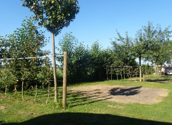 Minicamping 'T Meulenhuis — Photo 2