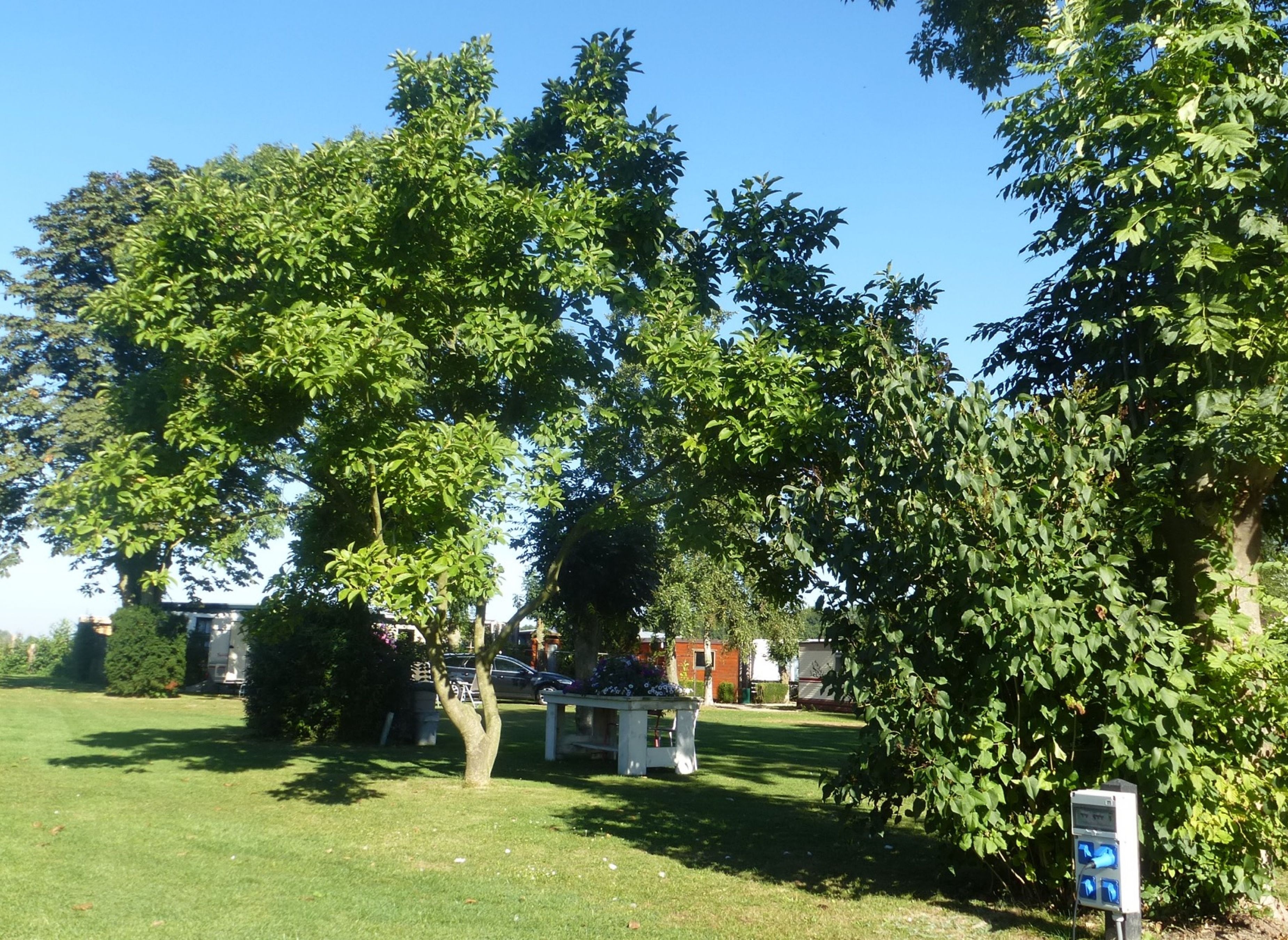 Minicamping 'T Meulenhuis — Campingplatz in Bruchem