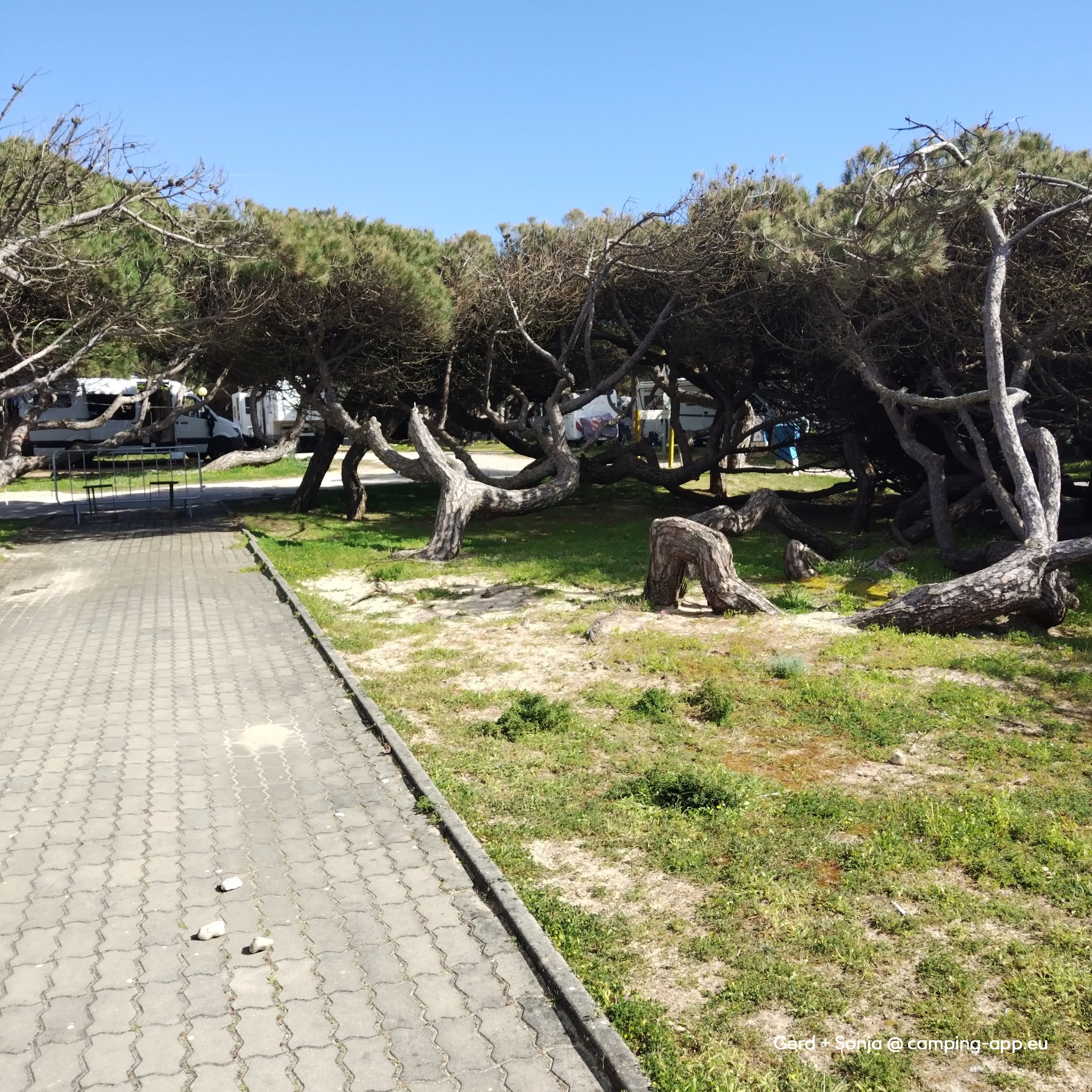 Camping Orbitur Guincho — Foto 2
