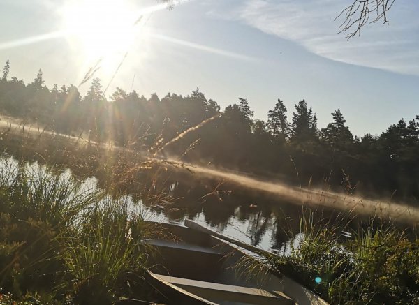 Lindö Camping — Photo 4