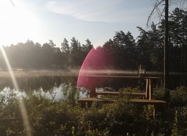 Lindö Camping — Photo 2