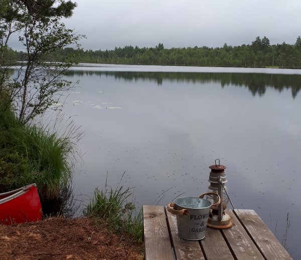 Lindö Camping — Photo 5