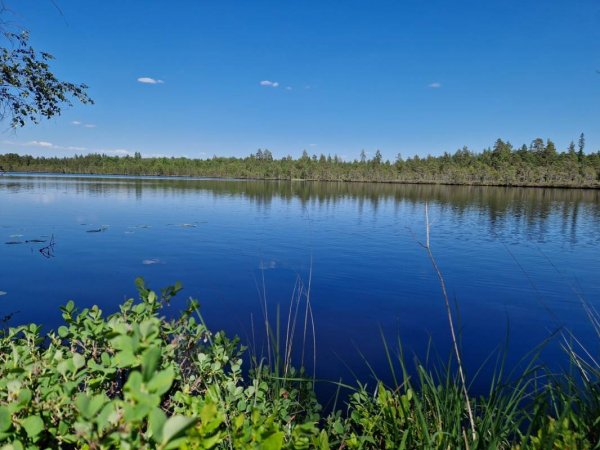 Lindö Camping — Foto 3