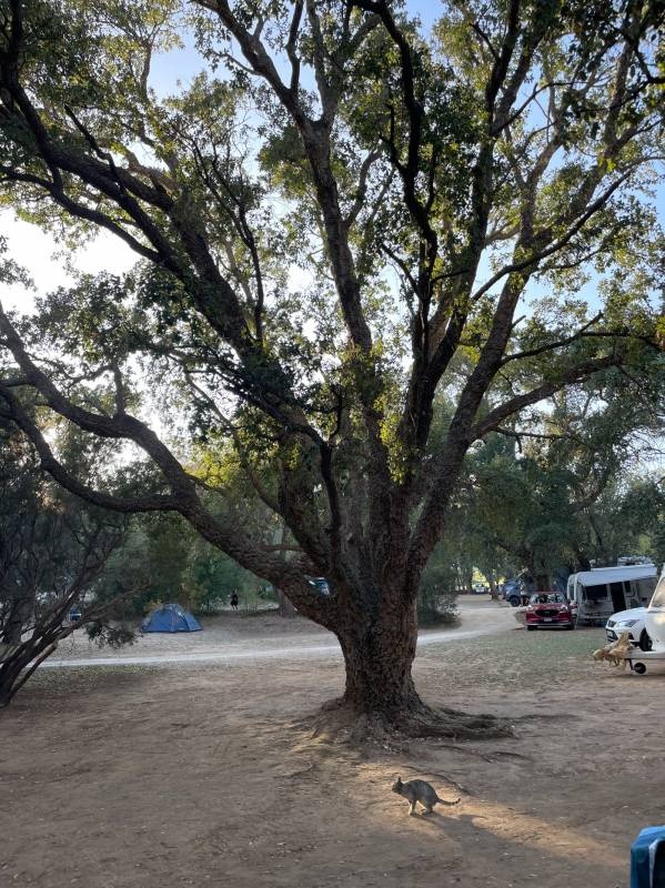 Camping a Casaiola — Campingplads in Sisco