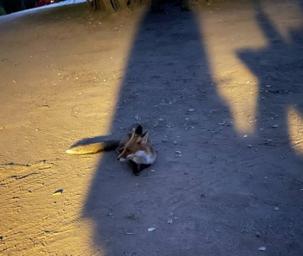 Camping a Casaiola — Photo 6